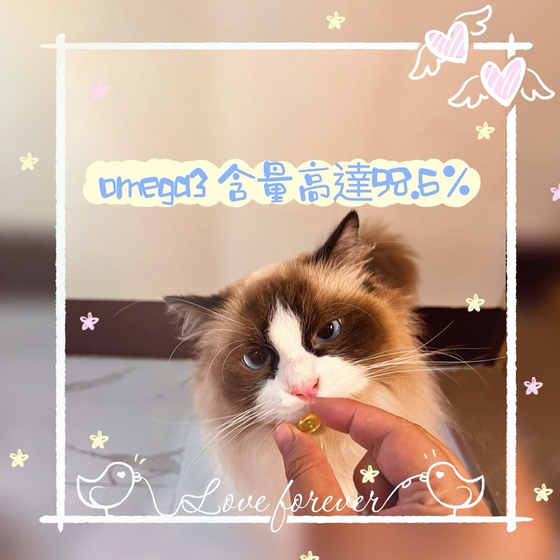 試用